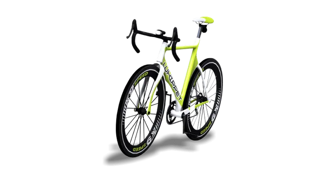 R-Bike Whippet